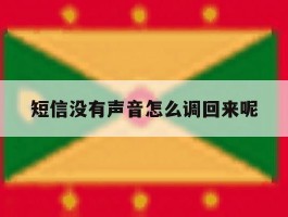 短信没有声音怎么调回来呢