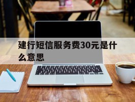 建行短信服务费30元是什么意思