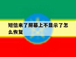 短信来了屏幕上不显示了怎么恢复