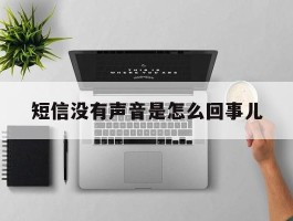 短信没有声音是怎么回事儿