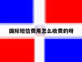 国际短信费用怎么收费的呀