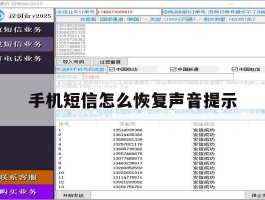 手机短信怎么恢复声音提示