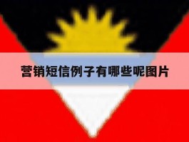 营销短信例子有哪些呢图片