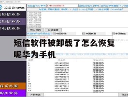 包含短信软件被卸载了怎么恢复呢华为手机的词条