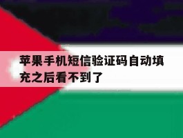 关于苹果手机短信验证码自动填充之后看不到了的信息