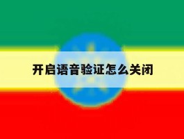 开启语音验证怎么关闭