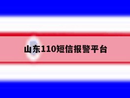 山东110短信报警平台