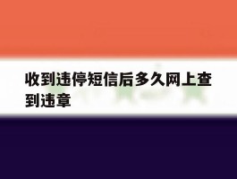 收到违停短信后多久网上查到违章