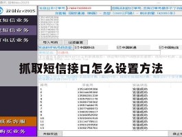 抓取短信接口怎么设置方法的简单介绍