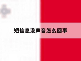 短信息没声音怎么回事