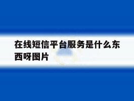 在线短信平台服务是什么东西呀图片