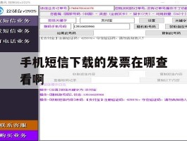 手机短信下载的发票在哪查看啊