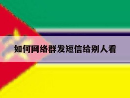 如何网络群发短信给别人看