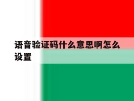 语音验证码什么意思啊怎么设置