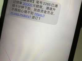 短信链接下载的洋钱罐安全吗是真的吗