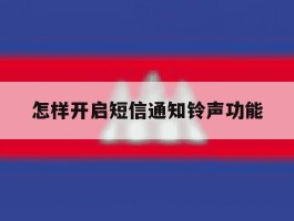怎样开启短信通知铃声功能