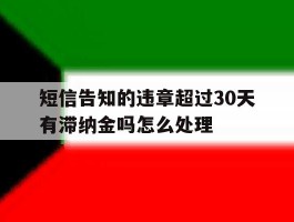 短信告知的违章超过30天有滞纳金吗怎么处理