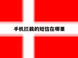 手机拦截的短信在哪里