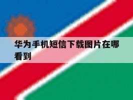 华为手机短信下载图片在哪看到