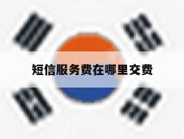短信服务费在哪里交费