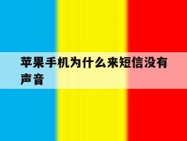 苹果手机为什么来短信没有声音