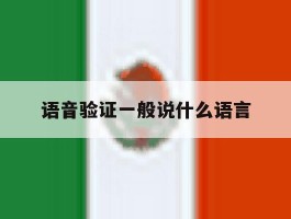 语音验证一般说什么语言
