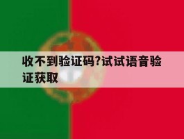 收不到验证码?试试语音验证获取