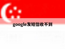 google发短信收不到