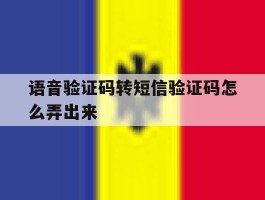 语音验证码转短信验证码怎么弄出来