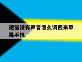 短信没有声音怎么调回来苹果手机
