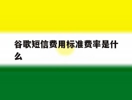 谷歌短信费用标准费率是什么