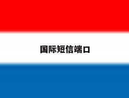 国际短信端口