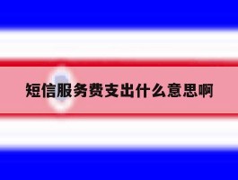 短信服务费支出什么意思啊