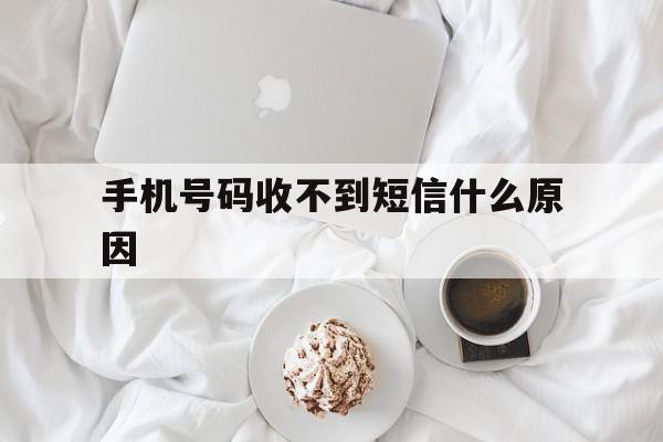 手机号码收不到短信什么原因 手机号码收不到短信什么原因