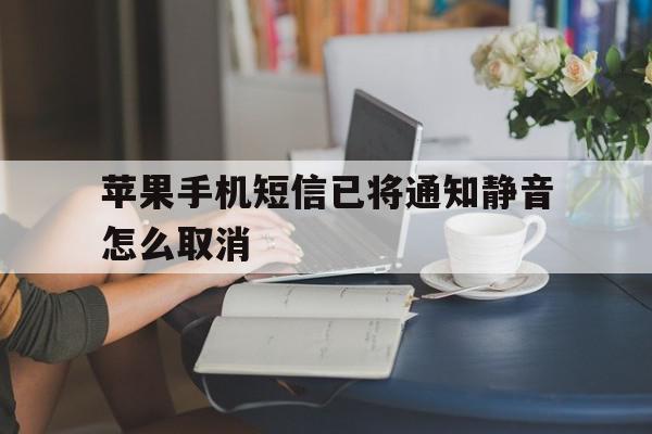 苹果手机短信已将通知静音怎么取消 苹果手机短信已将通知静音怎么取消