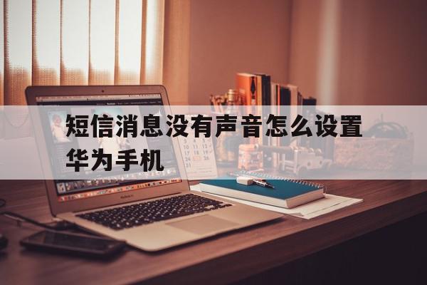 短信消息没有声音怎么设置华为手机 短信消息没有声音怎么设置华为手机