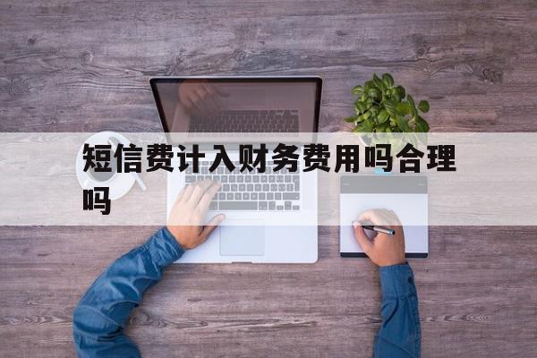 短信费计入财务费用吗合理吗 短信费计入财务费用吗合理吗