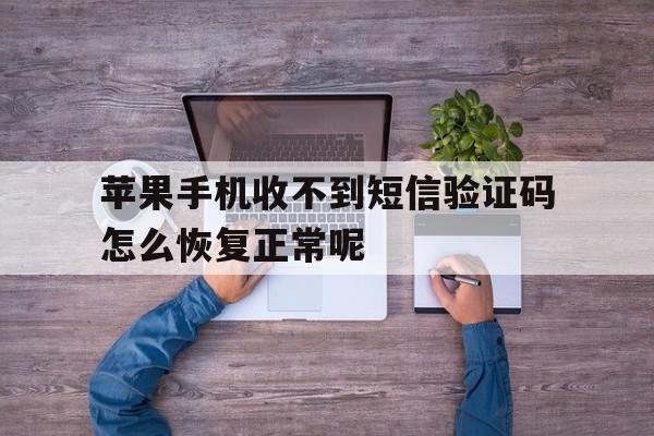 苹果手机收不到短信验证码怎么恢复正常呢的简单介绍 苹果手机收不到短信验证码怎么恢复正常呢的简单介绍
