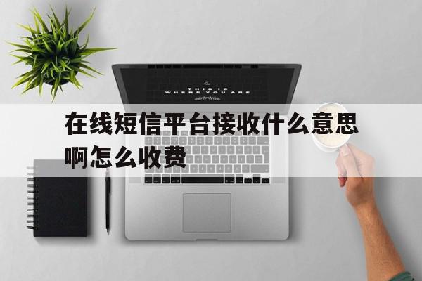 在线短信平台接收什么意思啊怎么收费 在线短信平台接收什么意思啊怎么收费