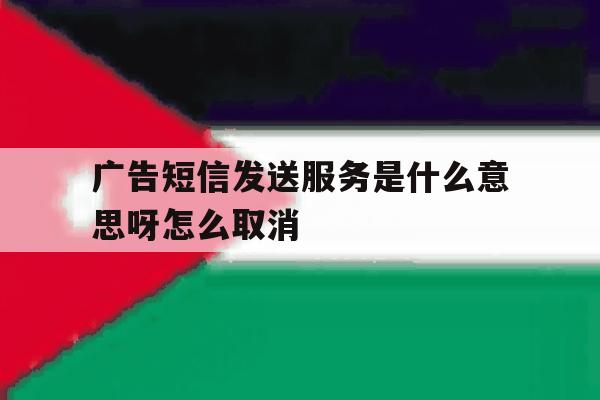 广告短信发送服务是什么意思呀怎么取消 广告短信发送服务是什么意思呀怎么取消