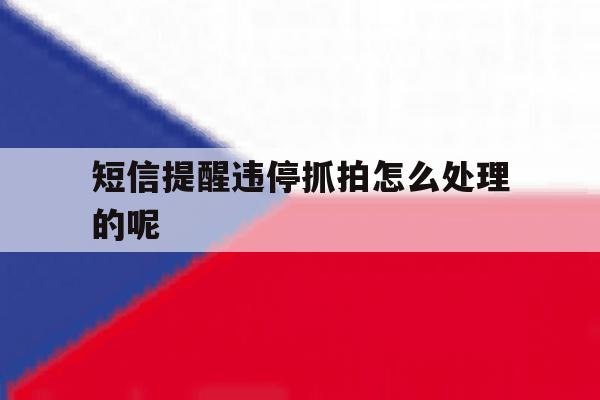 短信提醒违停抓拍怎么处理的呢 短信提醒违停抓拍怎么处理的呢