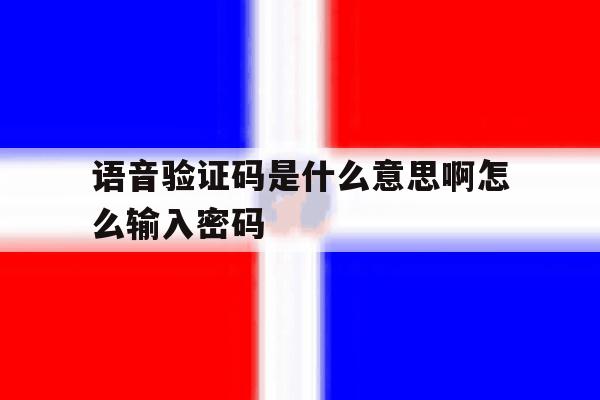 语音验证码是什么意思啊怎么输入密码 语音验证码是什么意思啊怎么输入密码