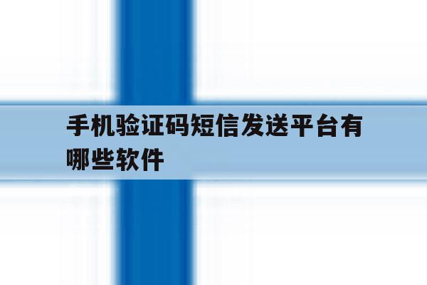 手机验证码短信发送平台有哪些软件 手机验证码短信发送平台有哪些软件