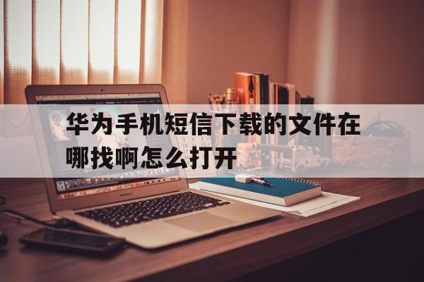 华为手机短信下载的文件在哪找啊怎么打开 华为手机短信下载的文件在哪找啊怎么打开