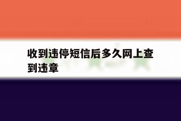 收到违停短信后多久网上查到违章 收到违停短信后多久网上查到违章