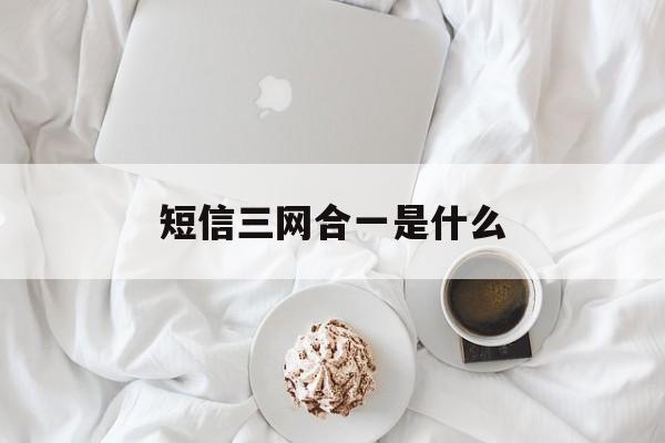 短信三网合一是什么 短信三网合一是什么