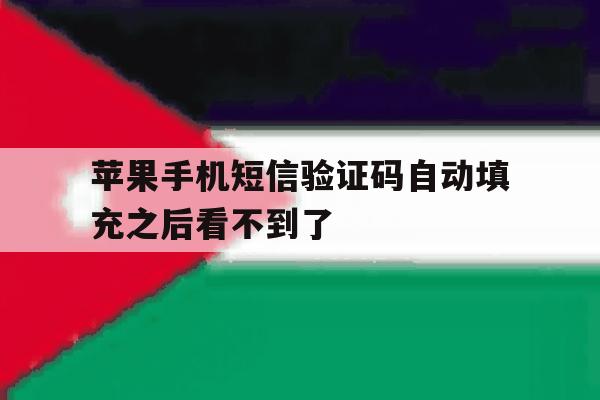 关于苹果手机短信验证码自动填充之后看不到了的信息 关于苹果手机短信验证码自动填充之后看不到了的信息