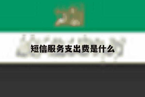 短信服务支出费是什么 短信服务支出费是什么