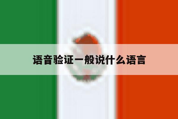 语音验证一般说什么语言 语音验证一般说什么语言
