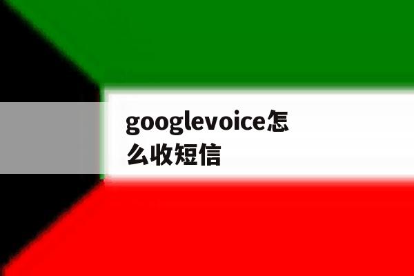 googlevoice怎么收短信 googlevoice怎么收短信
